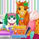 Постер игры Смешные Стрижки Для Домашних Животных